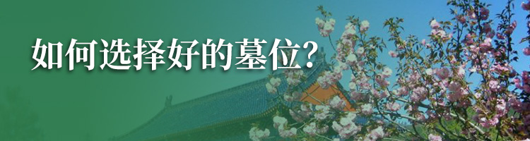 径山竹茶园